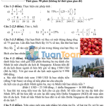 Đề cuối kì 2 Toán 6 năm 2019–2020 THCS Nguyễn Trung Trực – TP.HCM