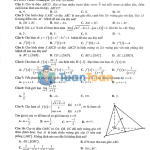 Đề khảo sát chất lượng HK2 Toán lớp 11 năm 2018–2019 – Thái Bình