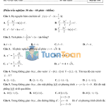 Đề thi HK2 Toán 12 năm 2018–2019 trường THPT Nguyễn Văn Tăng – TP.HCM