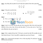 Đề thi Toán 6 HK2 năm 2019–2020 trường THCS Hồng Bàng – TP.HCM