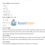 Đề thi Toán 6 HK2 năm 2019–2020 trường THCS Trần Quang Khải – TP.HCM